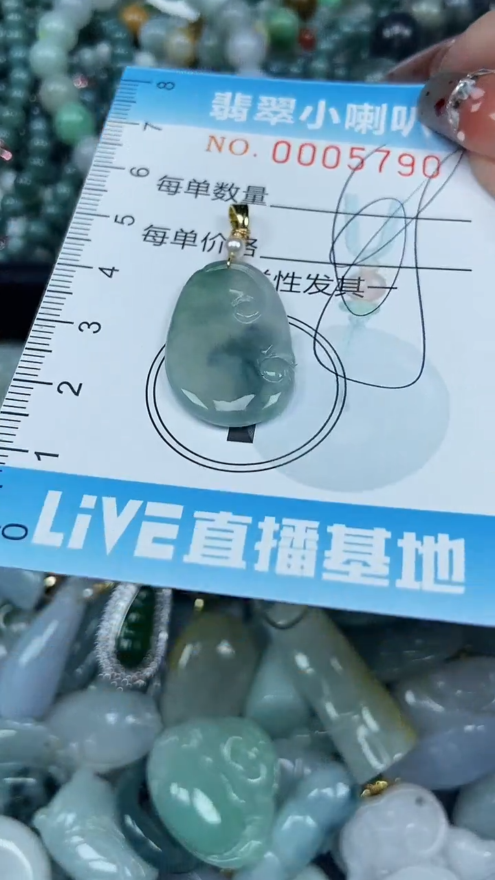 【闪购商品】翡翠颈饰未镶嵌闪购0005790多样性发其一