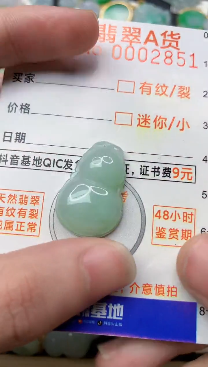 【闪购商品】翡翠颈饰未镶嵌3............