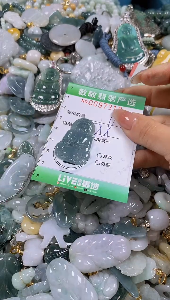 【闪购商品】翡翠颈饰未镶嵌闪购0097318