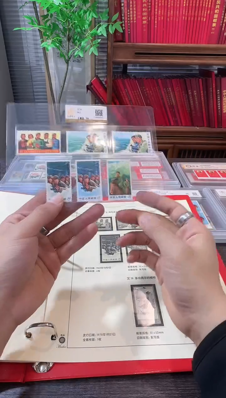 文18 封装评级鉴定收藏