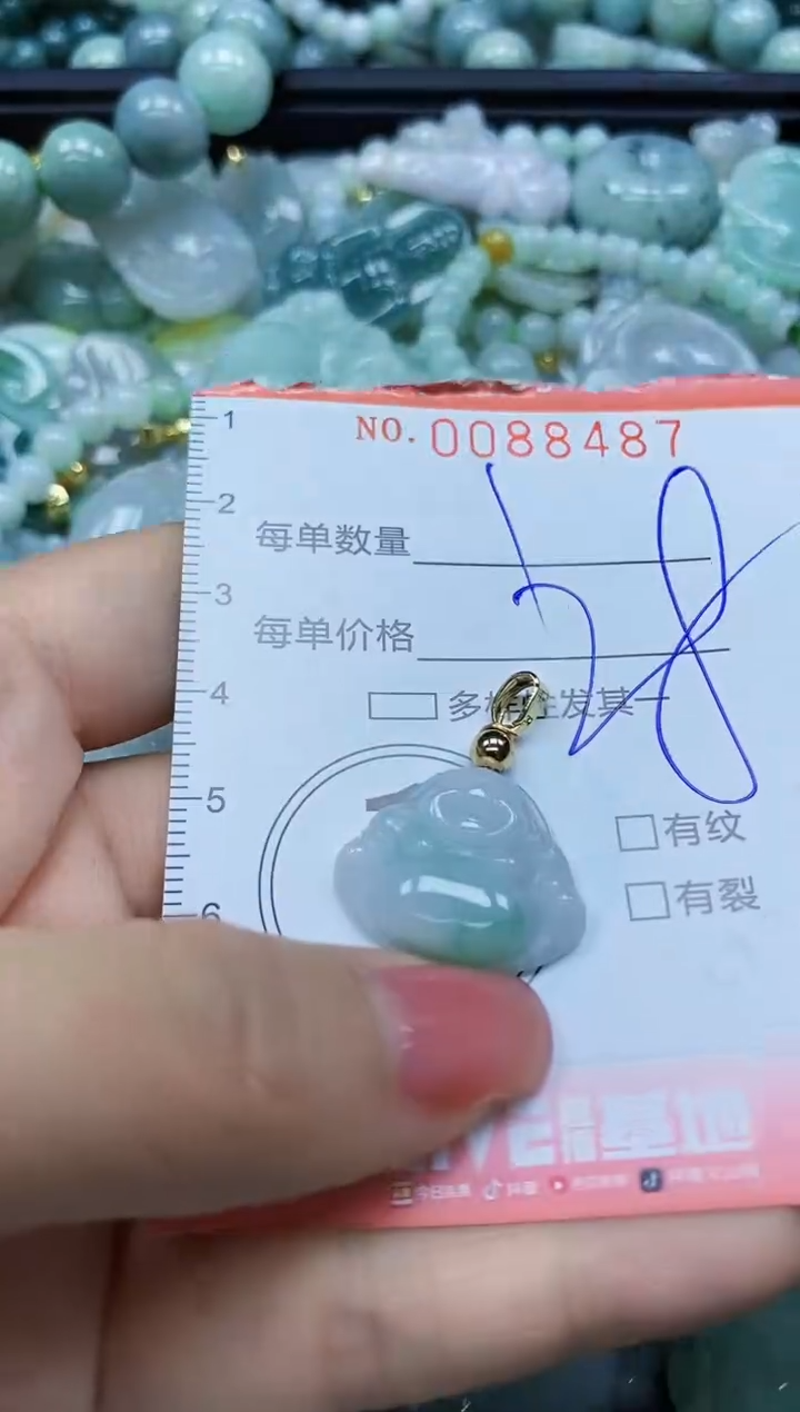 【闪购商品】翡翠颈饰未镶嵌闪购0088487