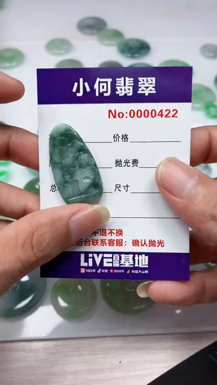 翡翠未镶嵌颈饰00000422