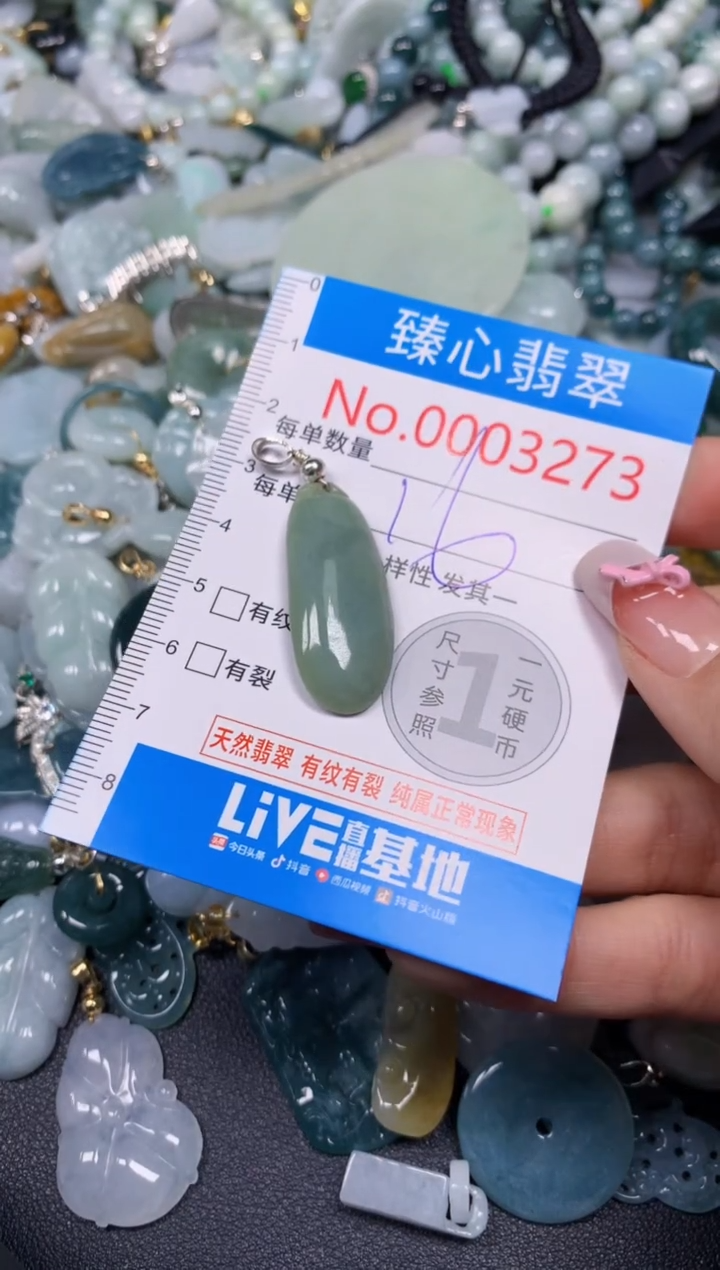 【闪购商品】翡翠颈饰未镶嵌含绳000