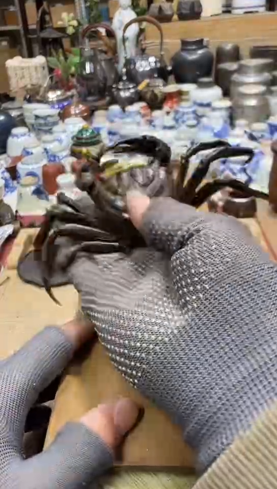 发发发发发发发发发发发发