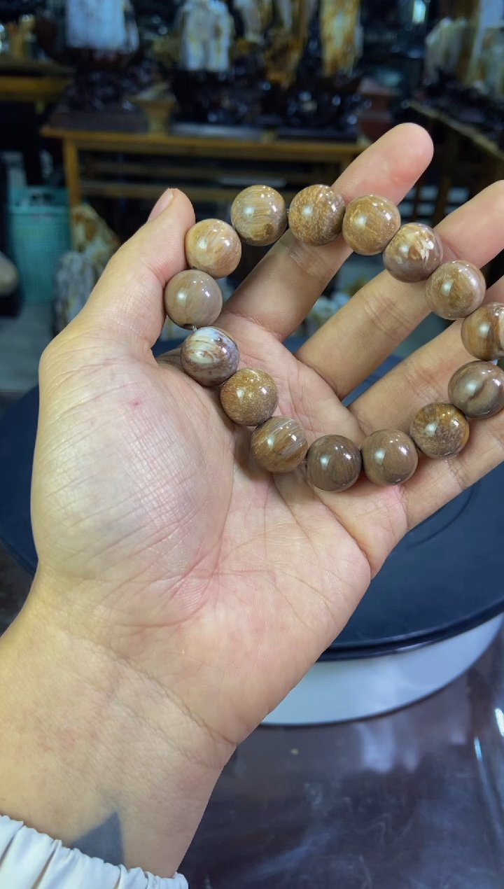 【闪购商品】硅化玉1未镶嵌11111111