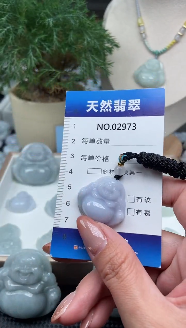 颈饰未镶嵌翡翠纯天然A货翡翠2973