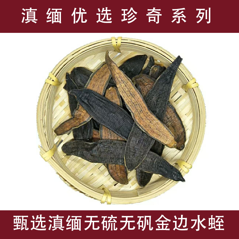 精选正宗金边【水蛭】