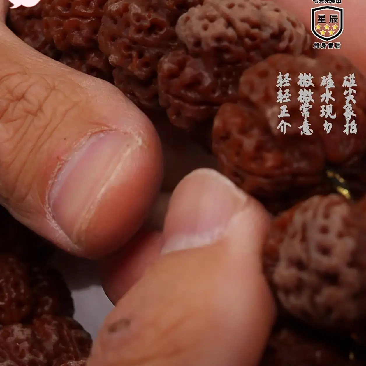 【虎牙梅花】高端精品尼泊尔大金刚菩提手串