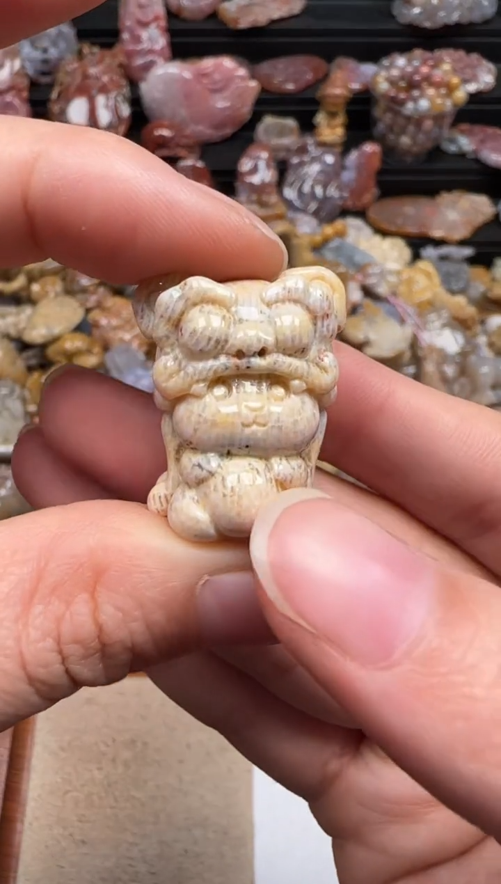 【闪购商品】硅化珊瑚（珊瑚玉）颈饰未镶嵌370