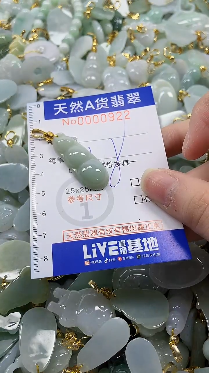 颈饰未镶嵌翡翠纯天然a货翡翠