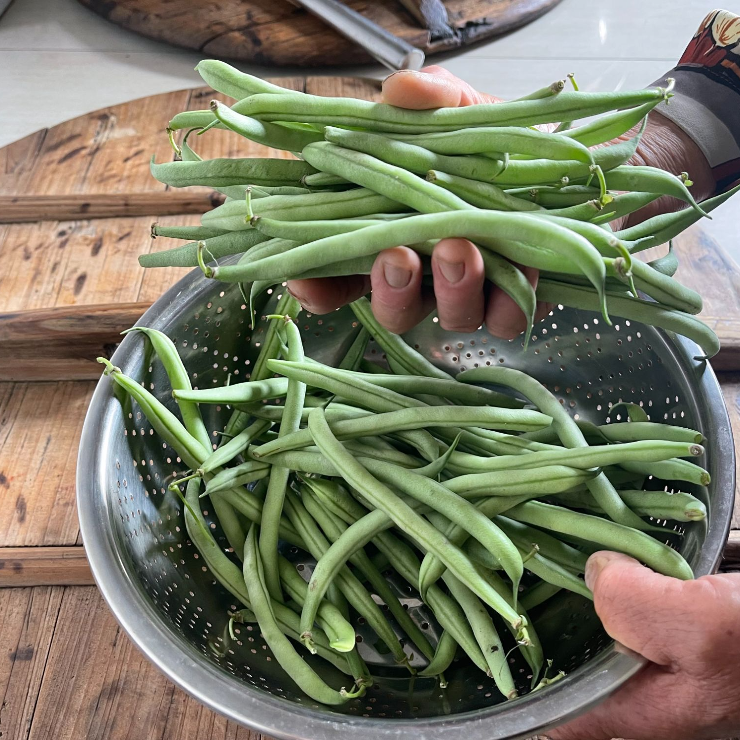 南京高淳自种四季豆新鲜采摘