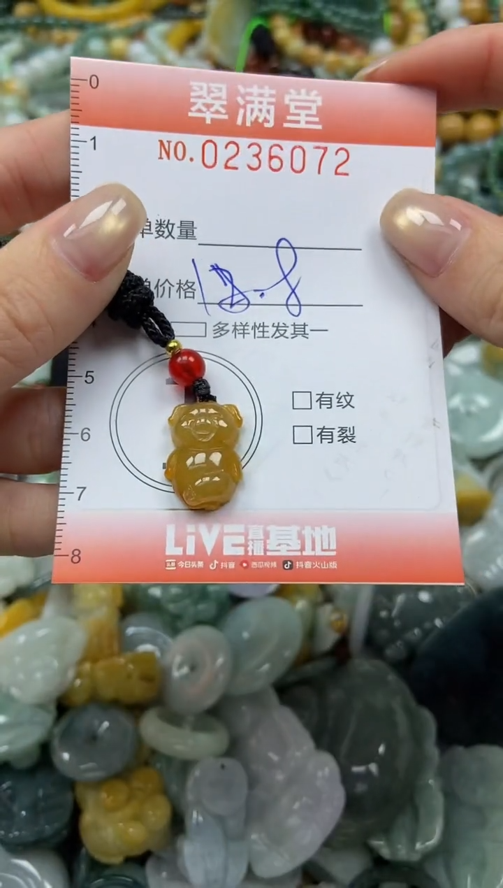 未镶嵌挂件翡翠闪购0236072