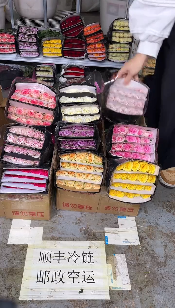 单头玫瑰60枝（任意3个品种）