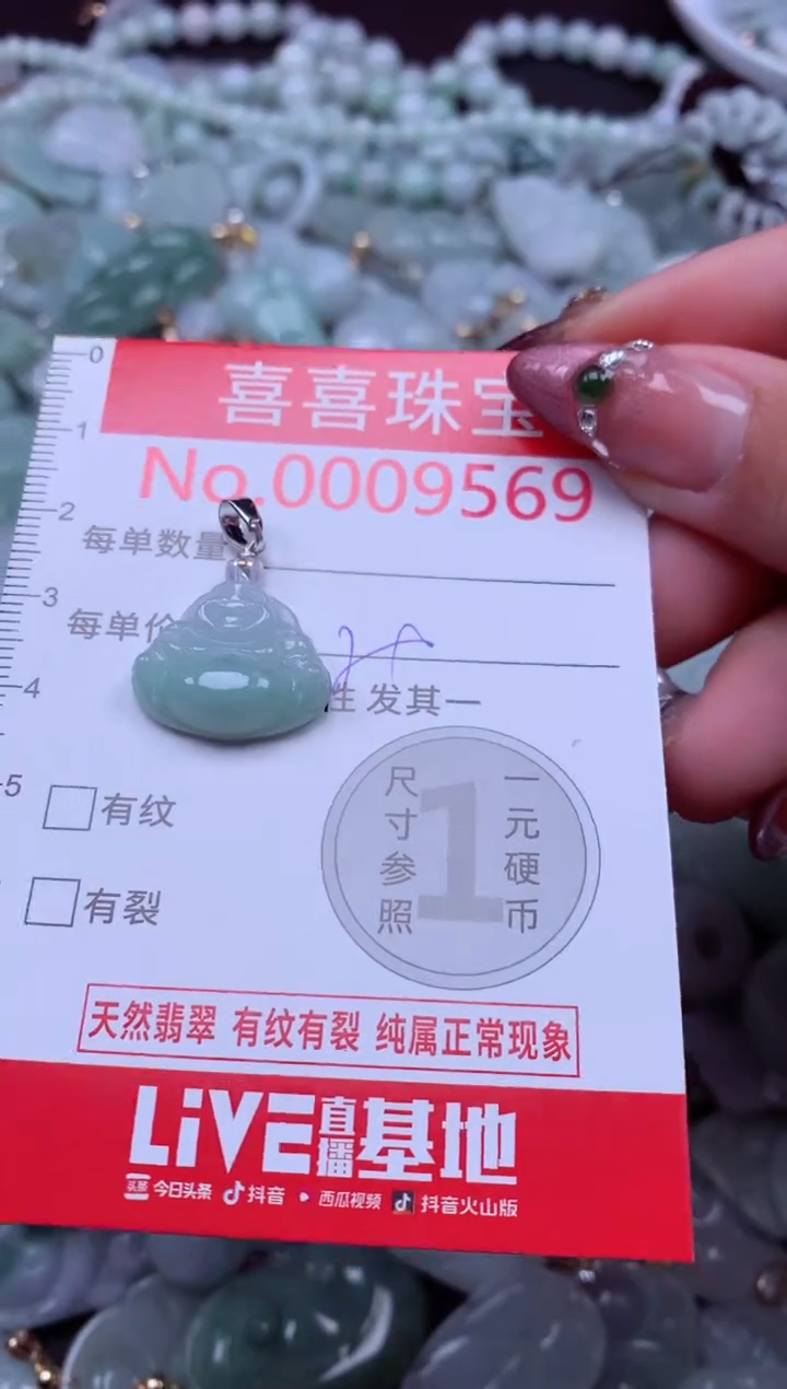 颈饰未镶嵌翡翠9569