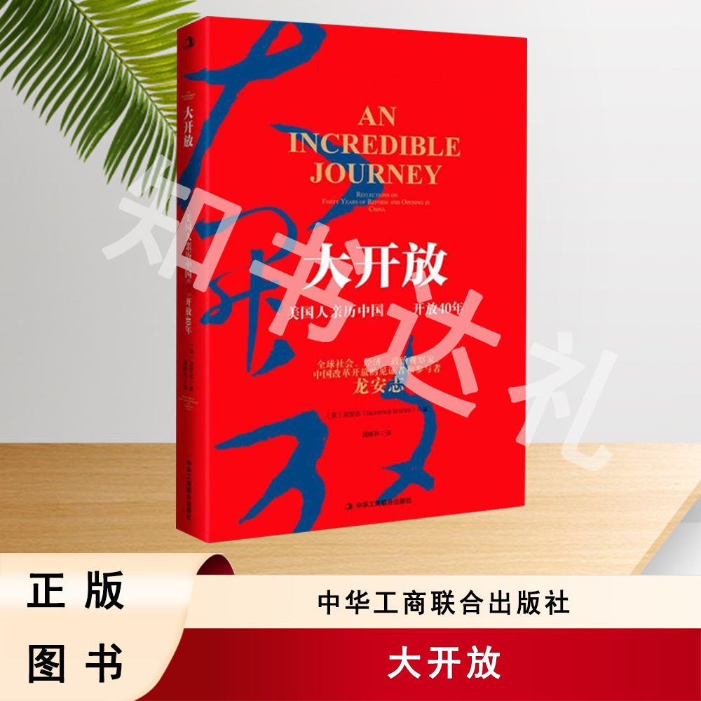 正版玖品 大开放：美国人亲历中国改革开放40年 龙安志 著