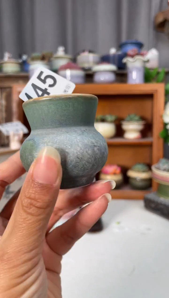 瓷片445知木小芳花盆