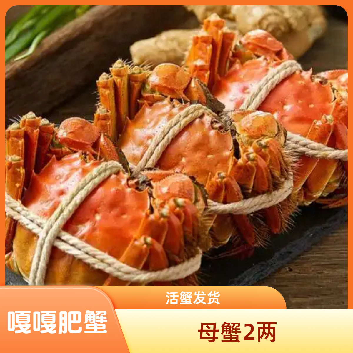 【鲜活】嘎嘎肥鲜活大闸蟹（2两母蟹）多只可选