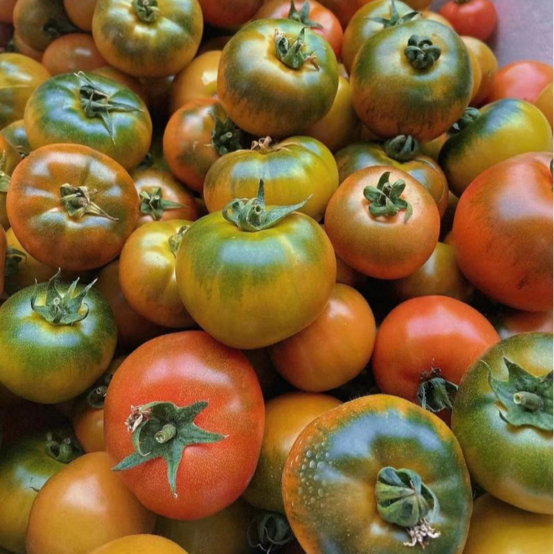 4斤草莓番茄［大中果混发］辽宁沈阳顺丰直发[草莓番茄]