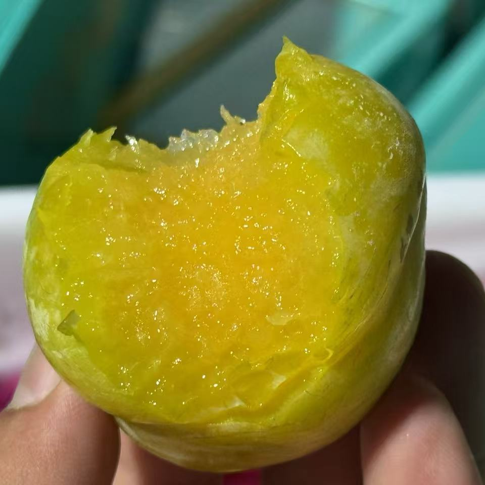 蜜诺娃奈李