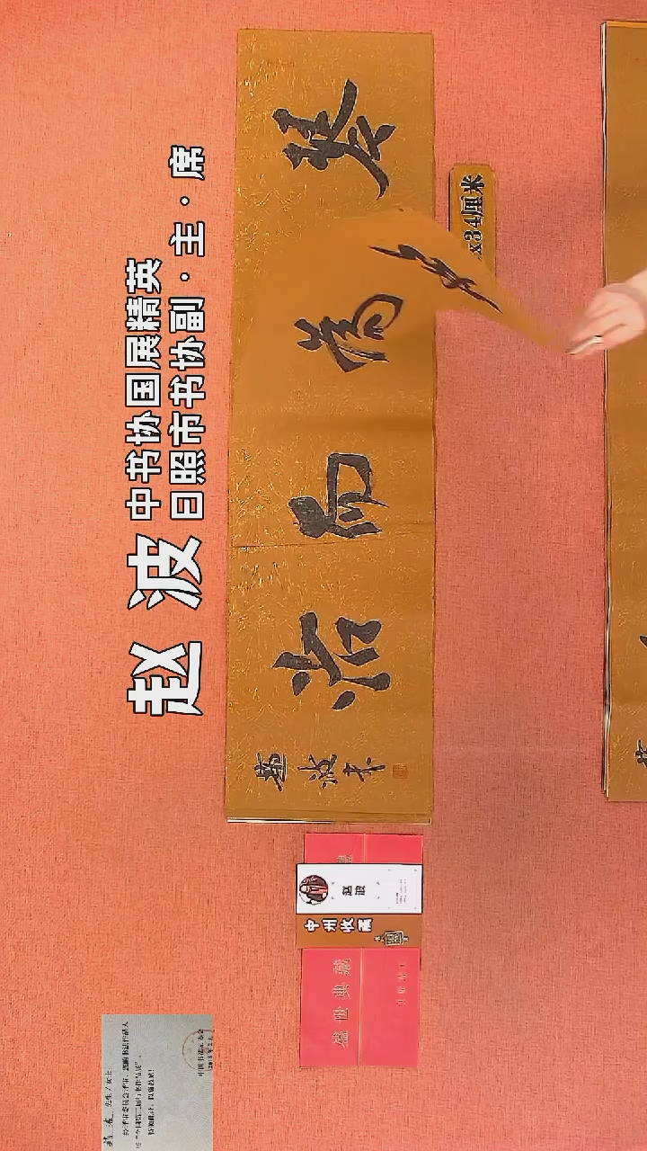 【闪购商品】书法30         赵波书法作品