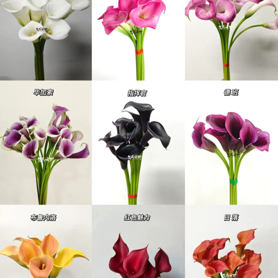 【进口-马蹄莲】优雅高贵 家居鲜花