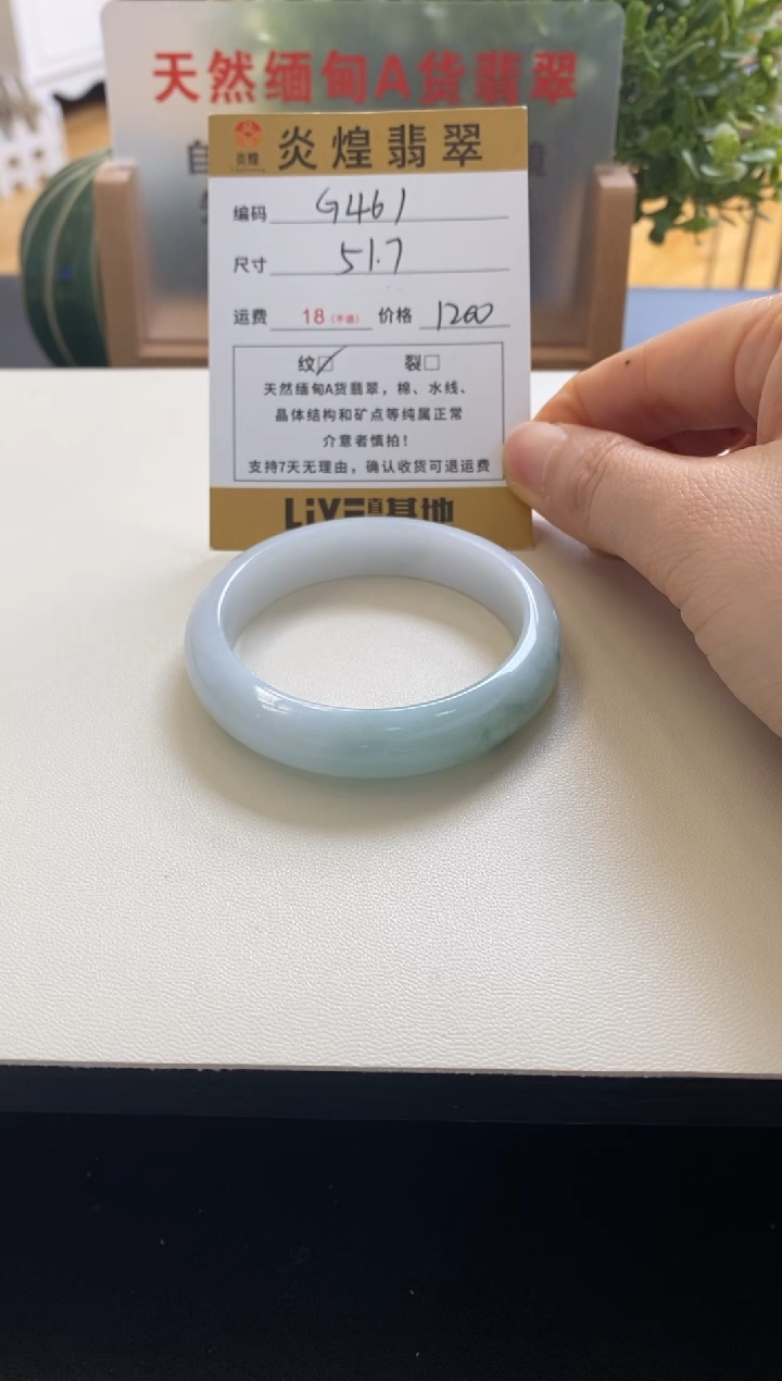 未镶嵌手镯翡翠圈口51.7编码g461