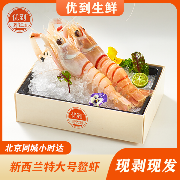 正宗新西兰进口海螯虾一只