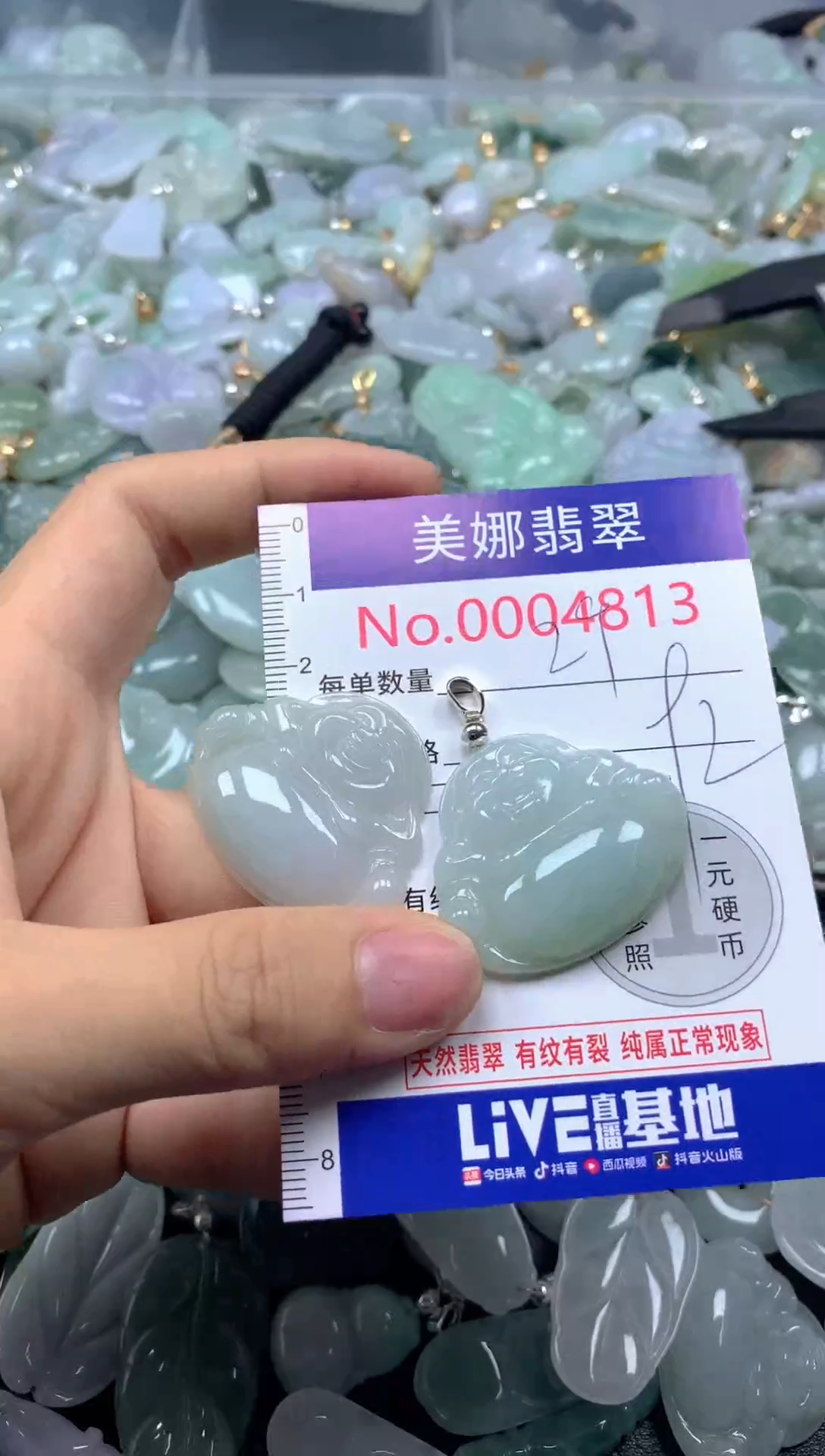 颈饰未镶嵌翡翠4813