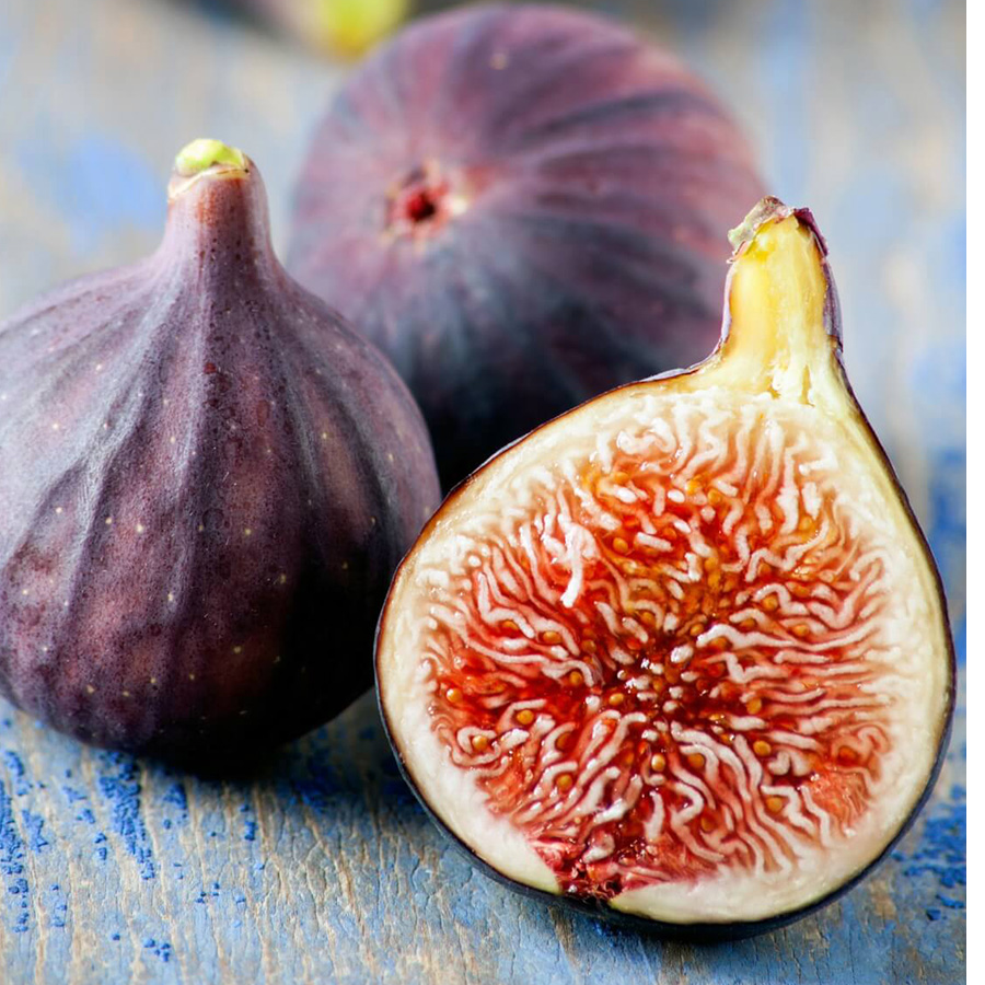 天狼无花果树苗四季阳台无花果苗南方果树苗阳台果树当年结果树苗