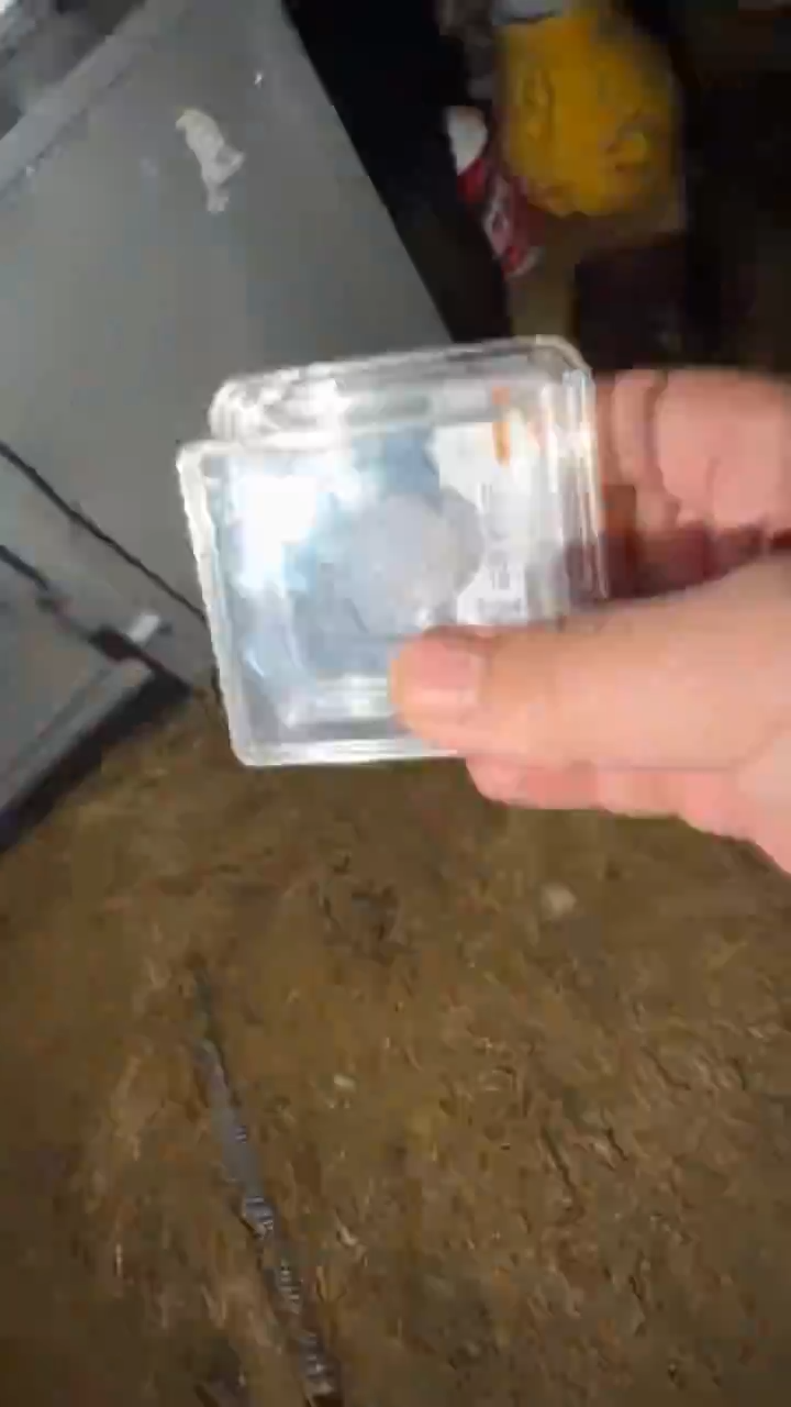 香榧木设立=======