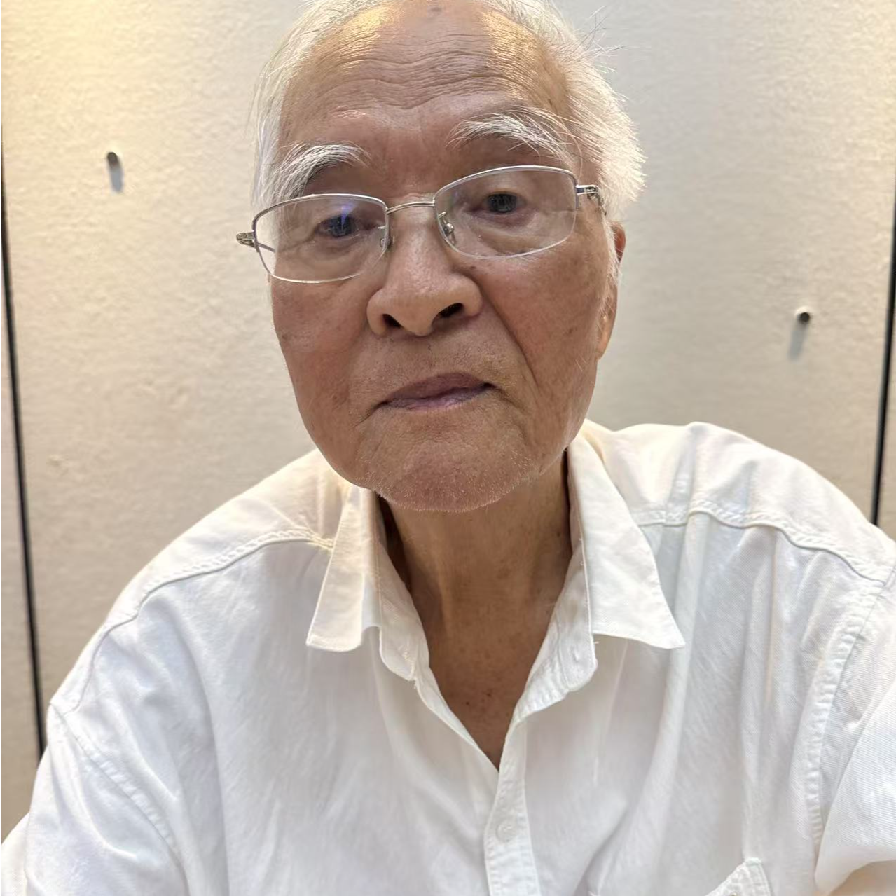 齐可来2平尺祖国颂仙鹤