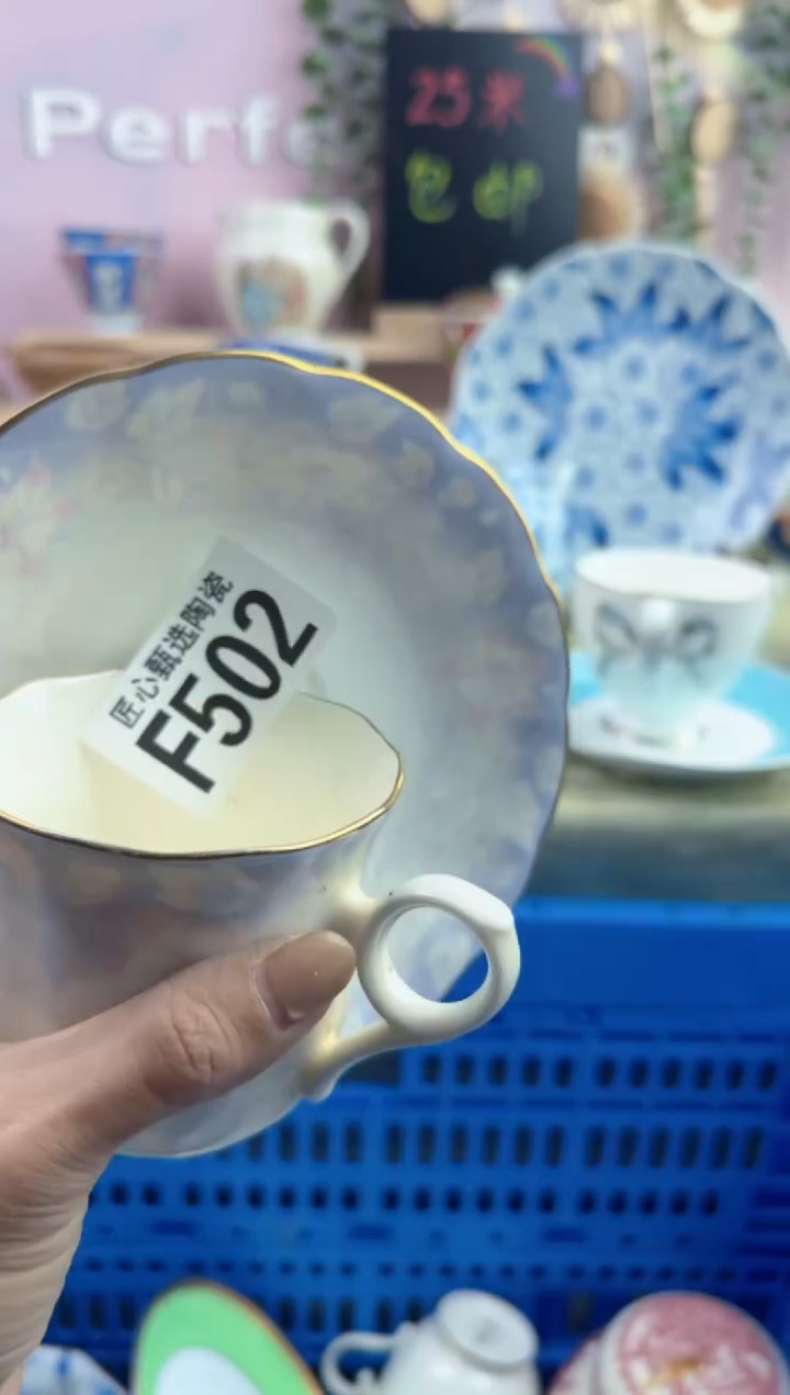 瓷片S*y         F502