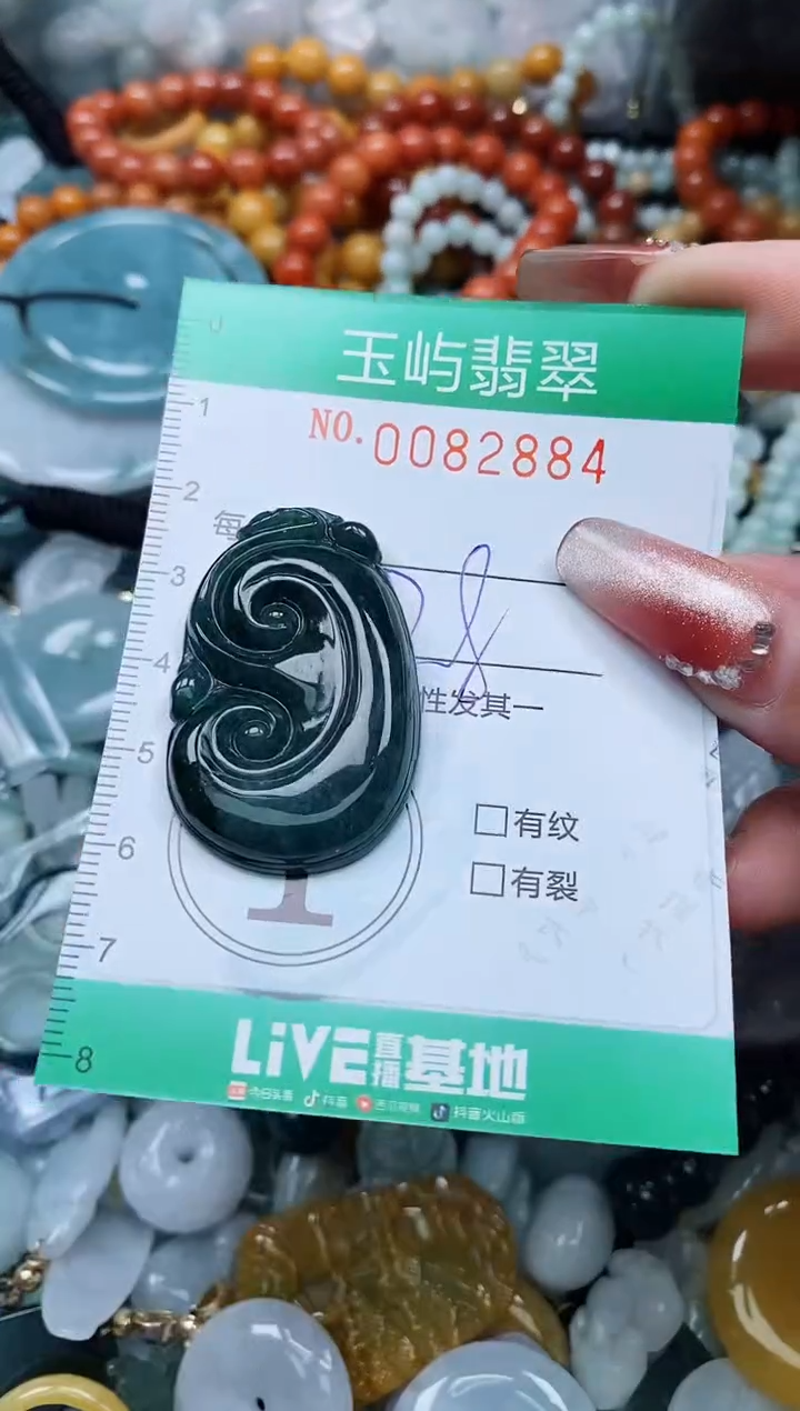 【闪购商品】翡翠颈饰未镶嵌闪购0082884