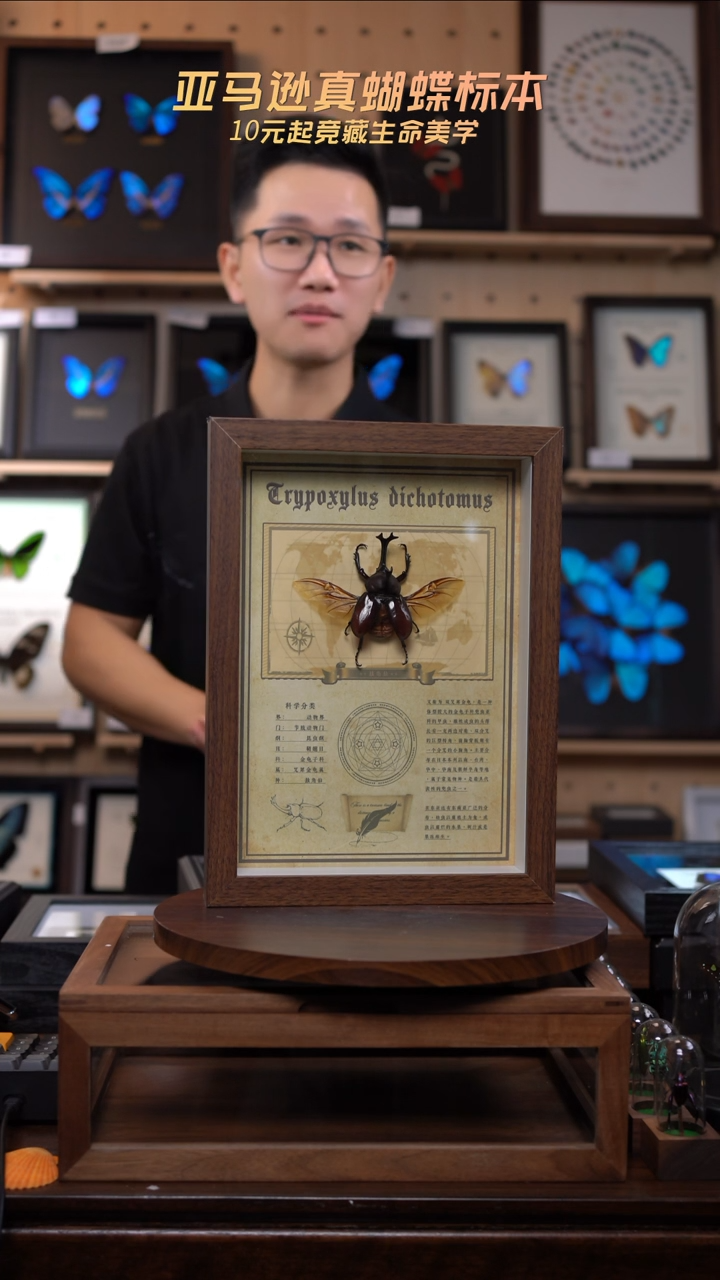 独角仙复古版A4复古框