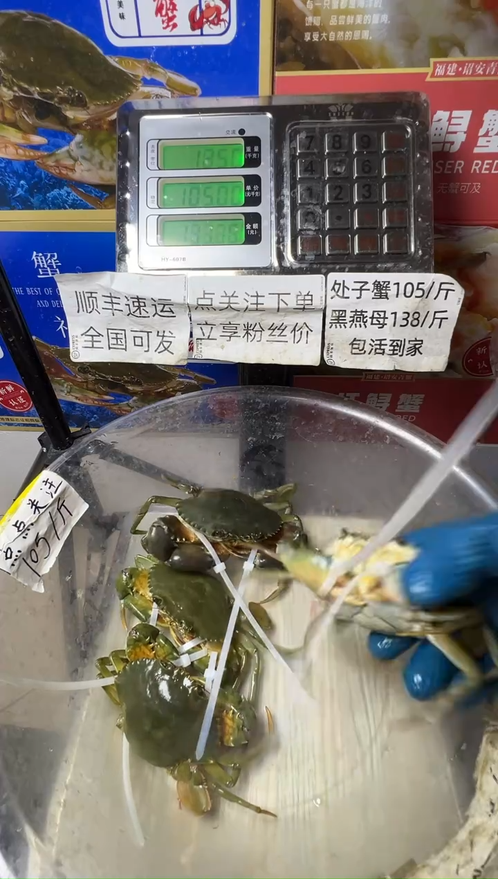 中国大陆福建漳州青蟹