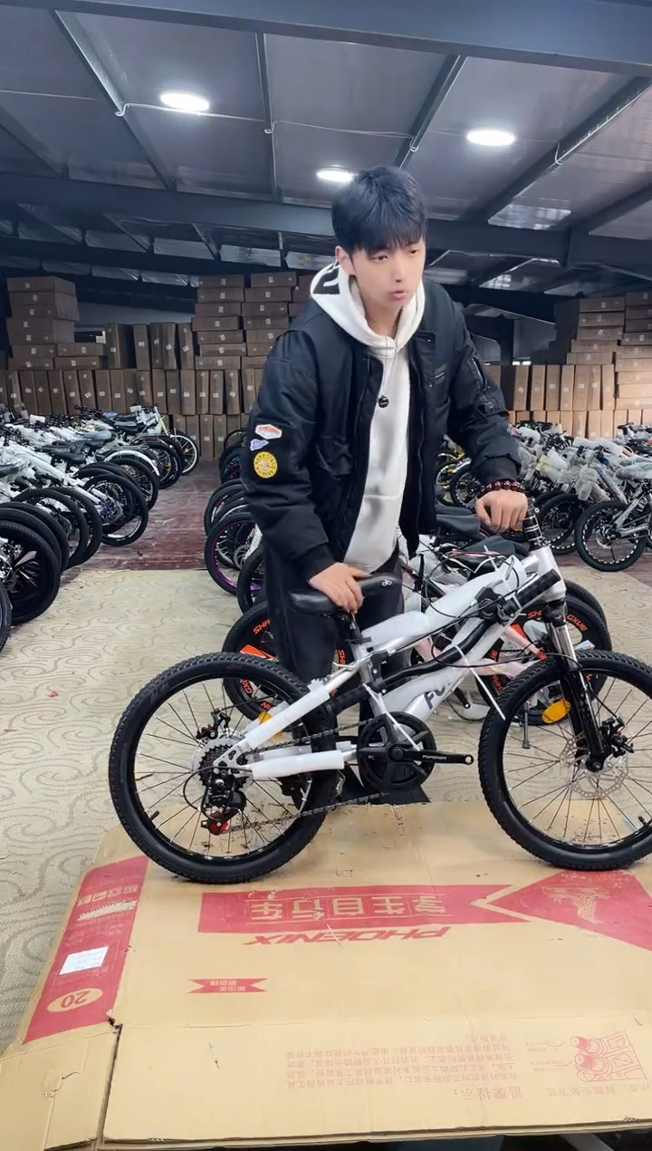 20寸-7速-银【运损微瑕，不退不换】