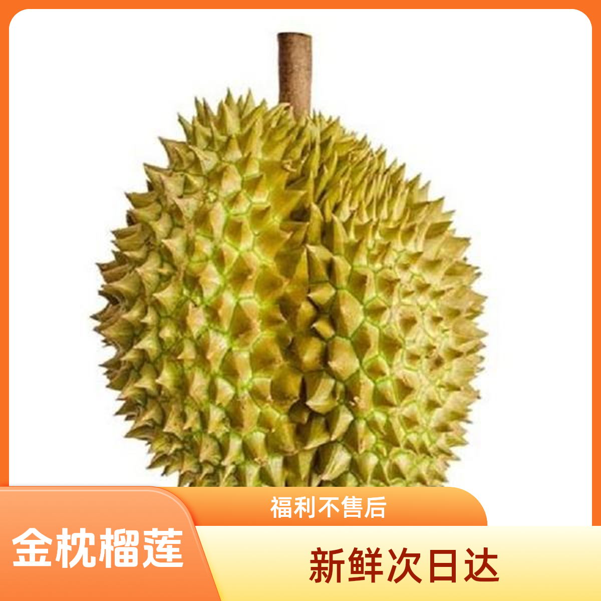 【广东省次日达】10.5-11斤泰国金枕榴莲
