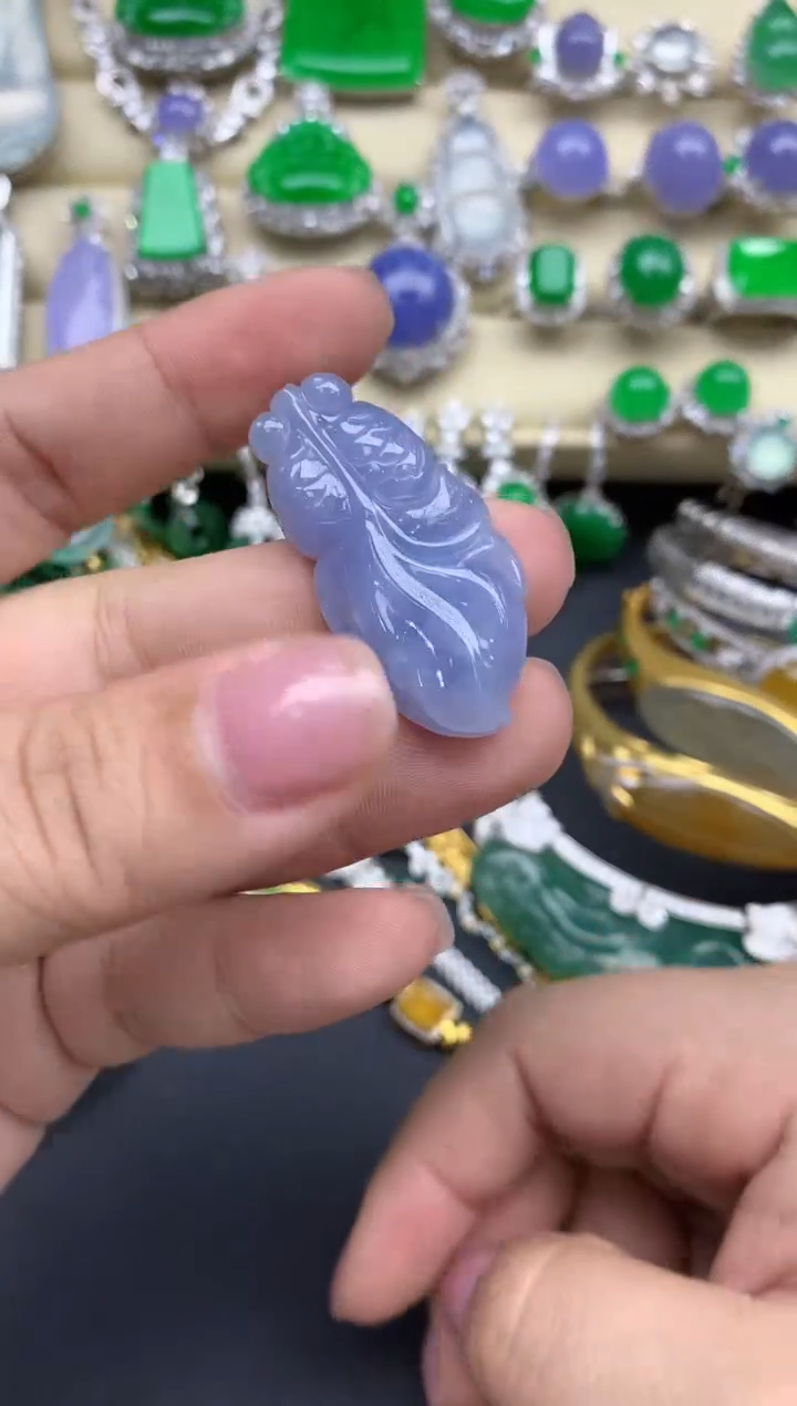 【闪购商品】翡翠颈饰未镶嵌217-中国好珍宝