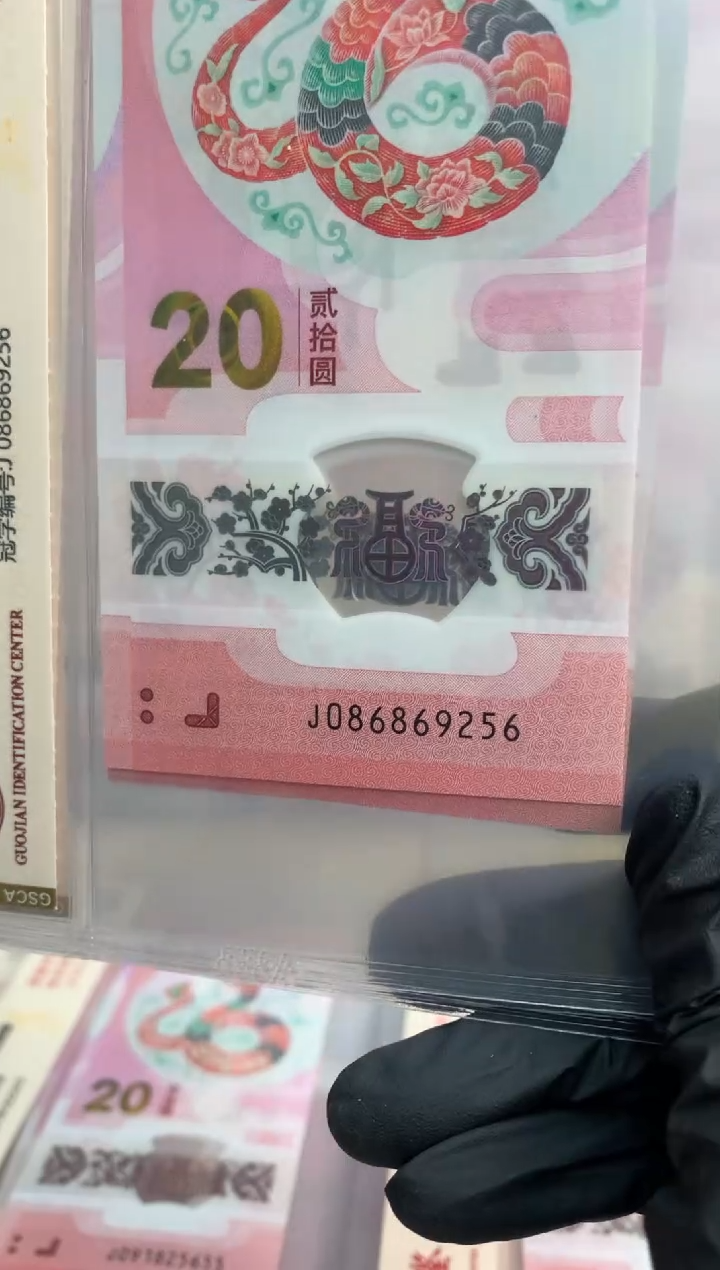 【闪购商品】塑料蛇钞 真钞【单张】9256