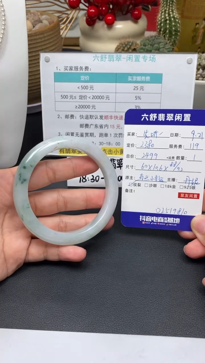 未镶嵌手镯翡翠先**说D2519810