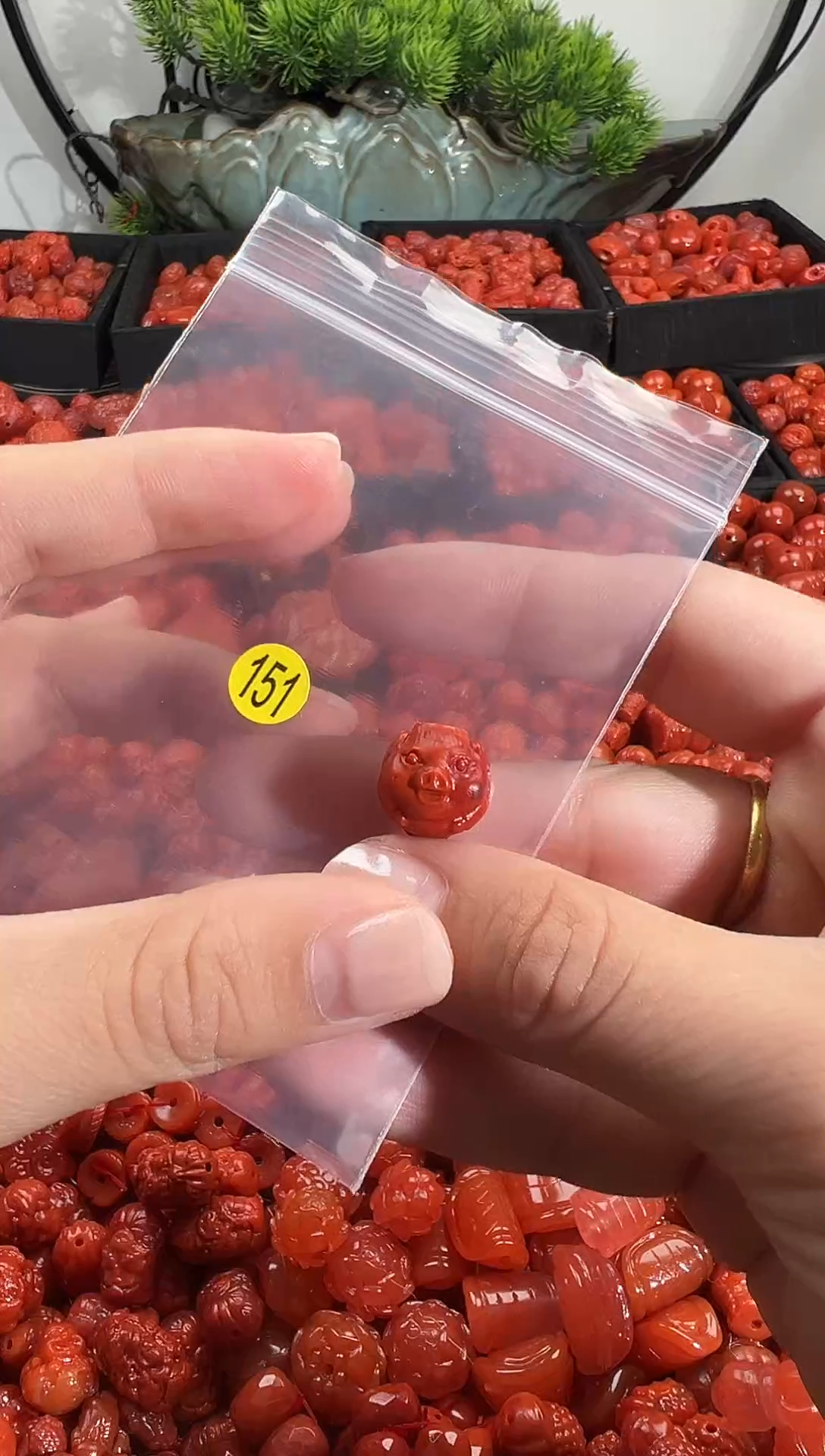 颈饰未镶嵌南红玛瑙1