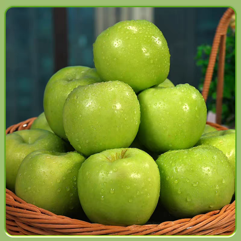 2025年新鲜采摘沂蒙山头茬青苹果酸甜可口华硕苹果