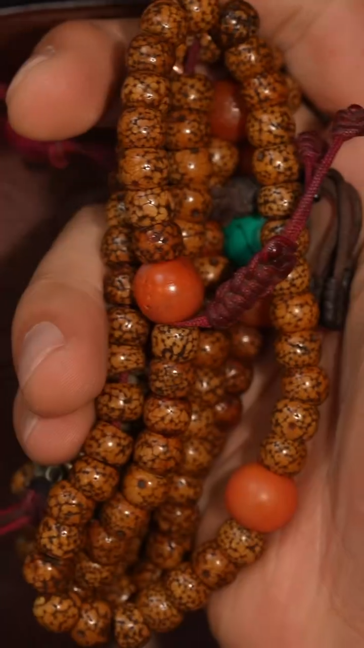 冲赛康胡子哥，藏传念珠181