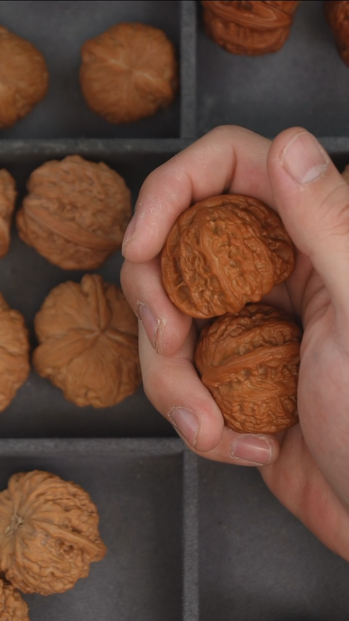 把件文玩核桃定向39+白狮子