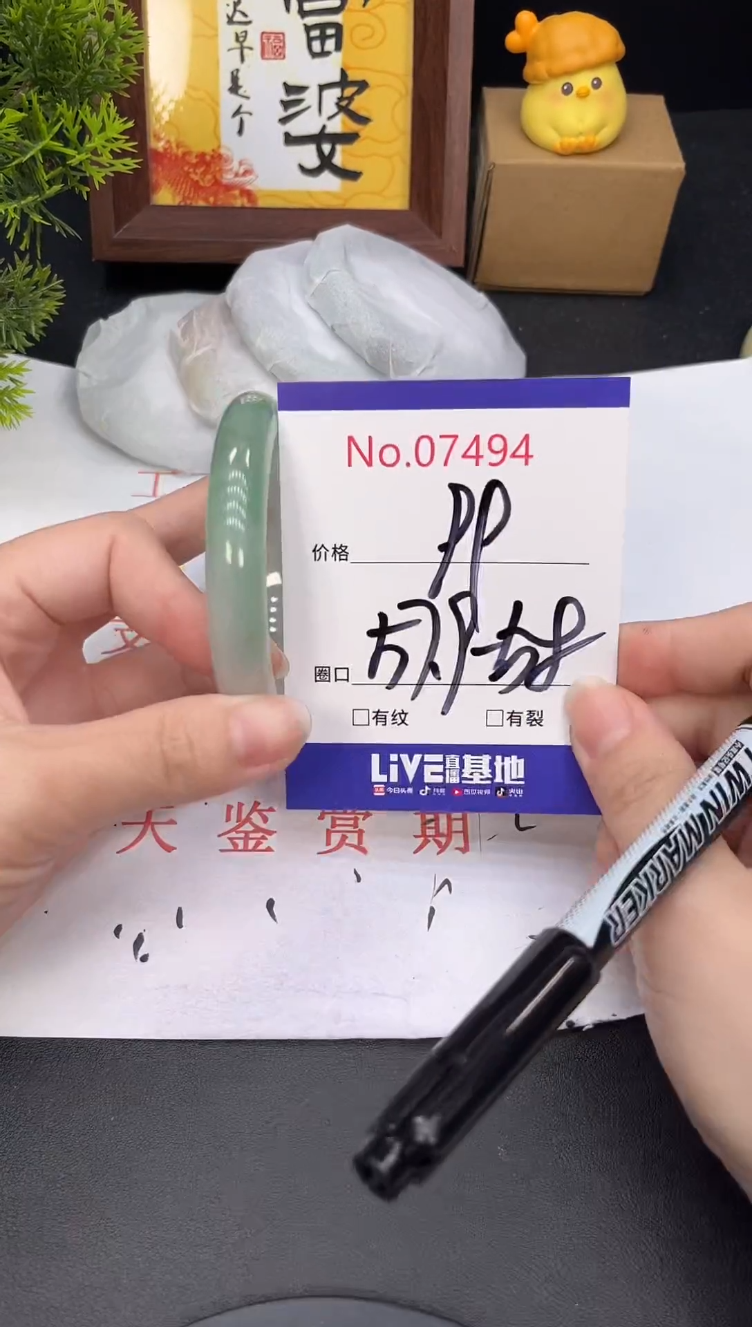 未镶嵌手镯翡翠7494