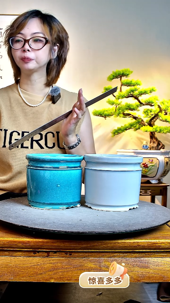 049中两个颜色0000000000000