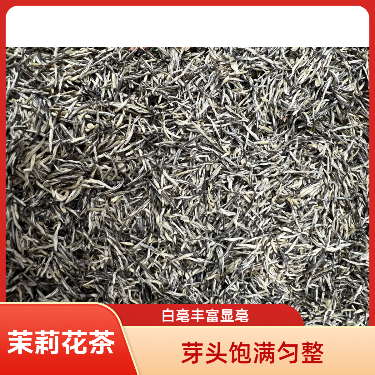 九窨春芽飘竹茉莉花茶