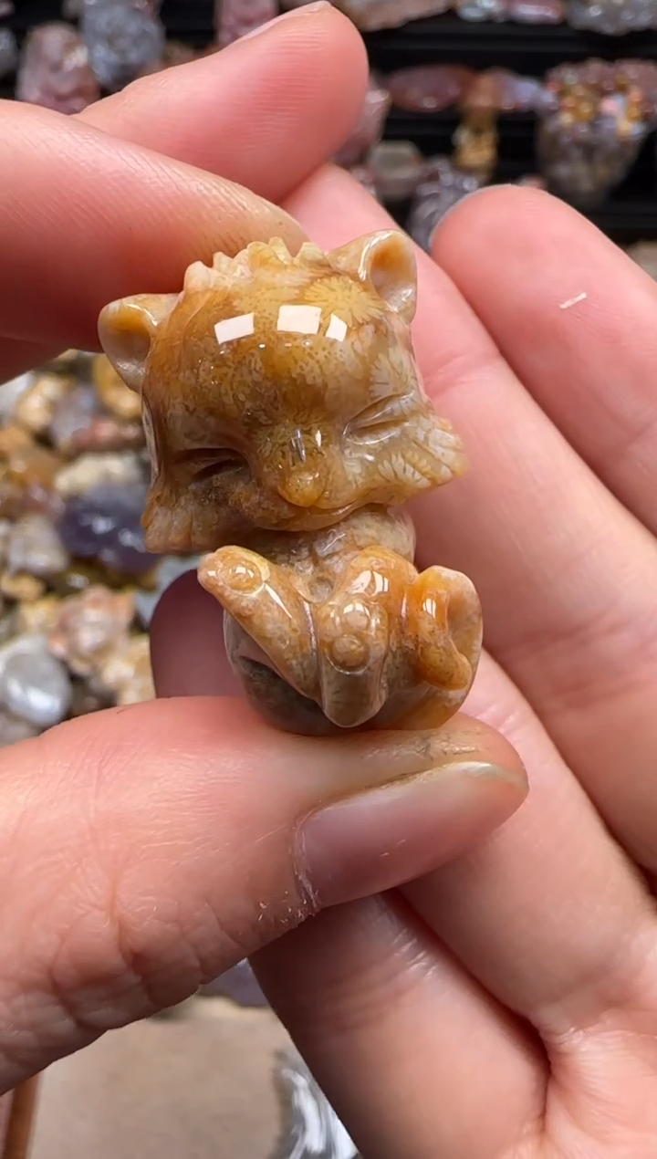 【闪购商品】硅化珊瑚（珊瑚玉）颈饰未镶嵌589