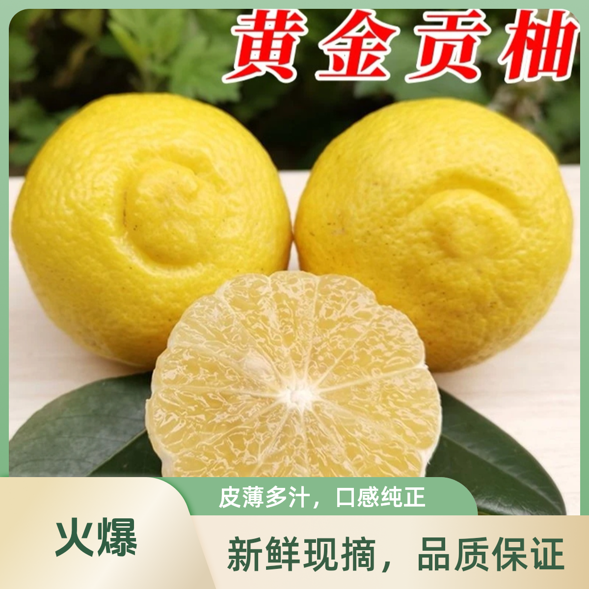 正宗贵州榕江高山干烈村黄金贡柚现摘现发新鲜多汁清甜手剥柚水果