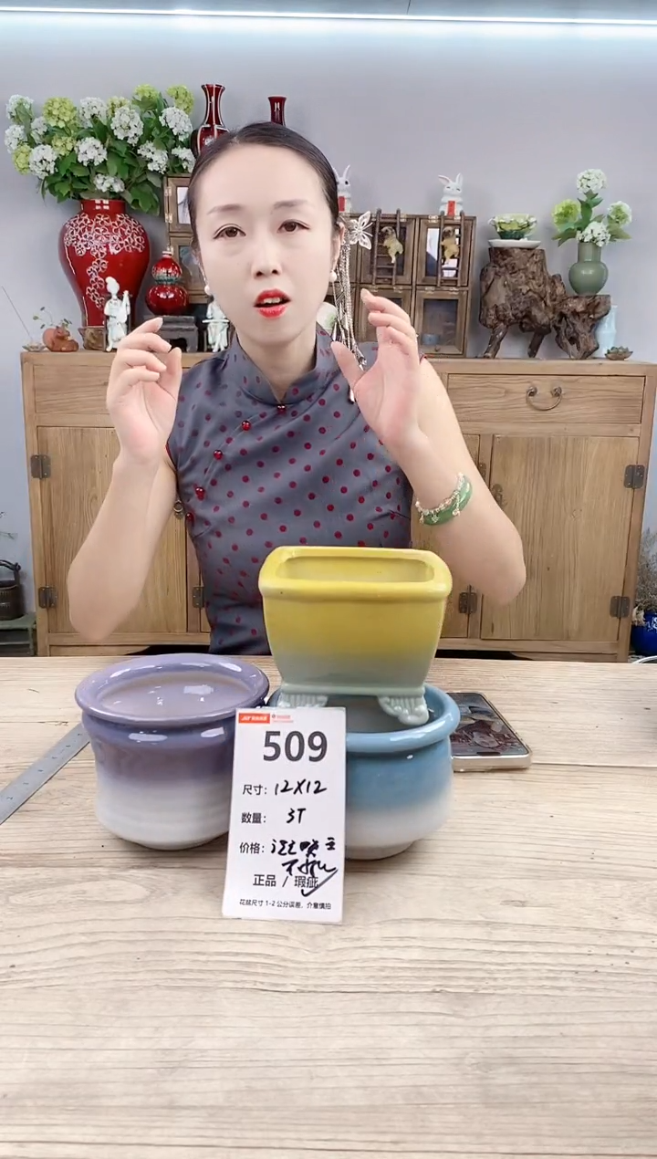 小玩子花盆直播号509